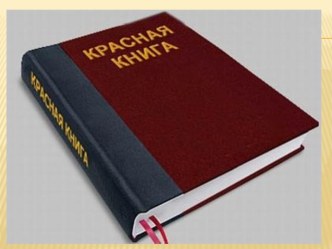 Презентация: Знакомство дошкольников с Красной книгой презентация к уроку по окружающему миру (подготовительная группа) по теме