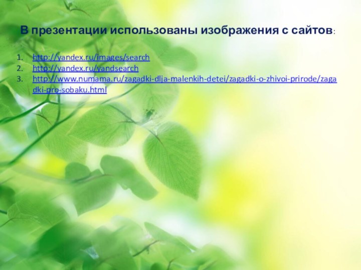 В презентации использованы изображения с сайтов:http://yandex.ru/images/searchhttp://yandex.ru/yandsearchhttp://www.numama.ru/zagadki-dlja-malenkih-detei/zagadki-o-zhivoi-prirode/zagadki-pro-sobaku.html