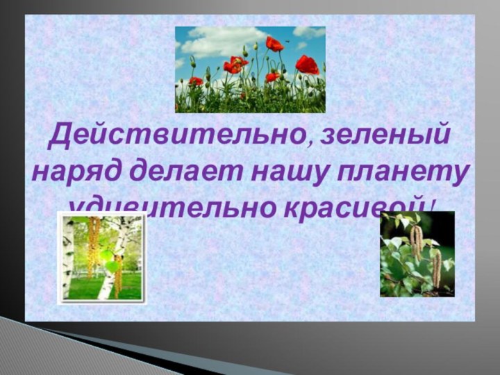 Действительно, зеленый наряд делает нашу планету удивительно красивой!