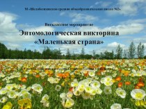 Этимологическая викторина Маленькая страна. методическая разработка (3, 4 класс)