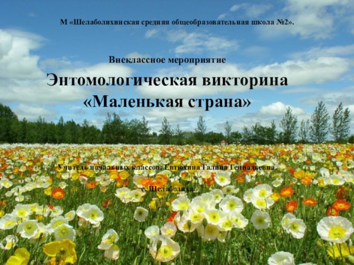 М «Шелаболихинская средняя общеобразовательная школа №2».Внеклассное мероприятиеЭнтомологическая викторина «Маленькая страна»Учитель начальных классов: Евтюхина Галина Геннадьевна.с. Шелаболиха