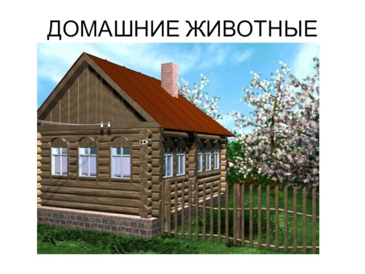 ДОМАШНИЕ ЖИВОТНЫЕ