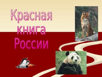 Презентация Красная книга России презентация к уроку по окружающему миру (старшая группа)