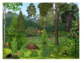 Экскурсия в лес план-конспект занятия по конструированию, ручному труду (средняя группа) по теме