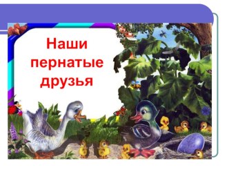 Презентация к классному часу Наши пернатые друзья презентация к уроку (1 класс)