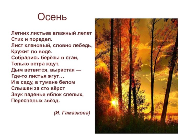 Летних листьев влажный лепет Стих и поредел. Лист кленовый, словно лебедь, Кружит