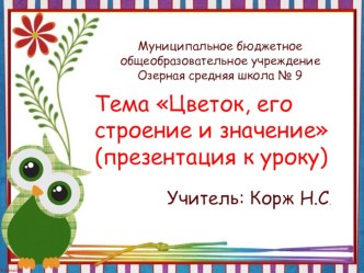 Цветок, его строение и значение. план-конспект урока по окружающему миру