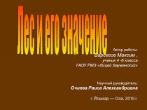 Проект : Значение леса. презентация к уроку по окружающему миру по теме