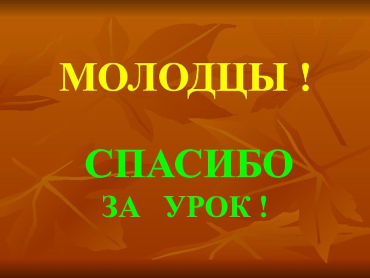 МОЛОДЦЫ !   СПАСИБО  ЗА  УРОК !