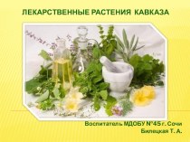 Лекарственные растения Кавказа презентация