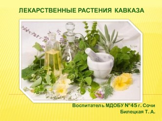 Лекарственные растения Кавказа презентация