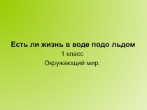 Презентация к уроку окружающего мира в 1 классе по теме Есть ли жизнь под льдом презентация к уроку по окружающему миру (1 класс)