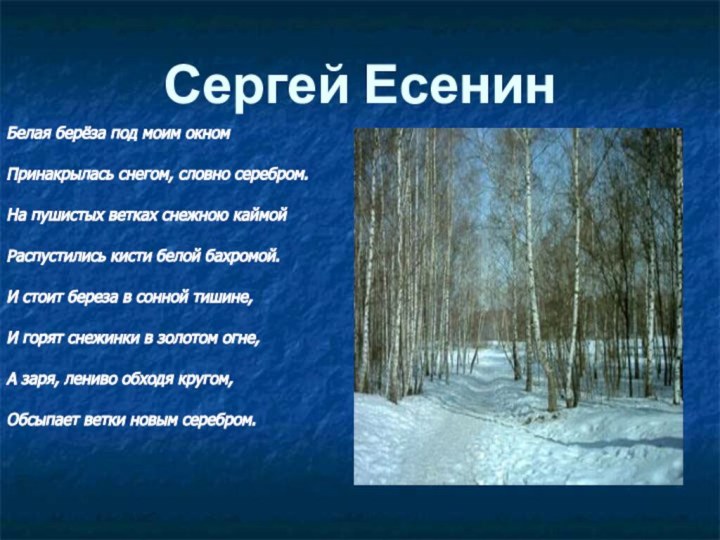 Сергей ЕсенинБелая берёза под моим окномПринакрылась снегом, словно серебром.На пушистых ветках снежною