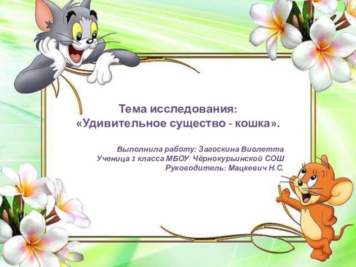 Тема исследования:«Удивительное существо - кошка».Выполнила работу: Загоскина ВиолеттаУченица 1 класса МБОУ Чёрнокурьинской СОШРуководитель: Мацкевич Н.С.