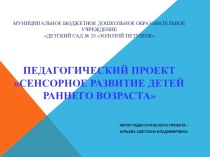 проект Сенсорное развитие младших дошкольников проект (младшая группа)