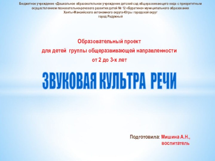 Бюджетное учреждение «Дошкольное образовательное учреждение детский сад общеразвивающего вида с приоритетным осуществлением