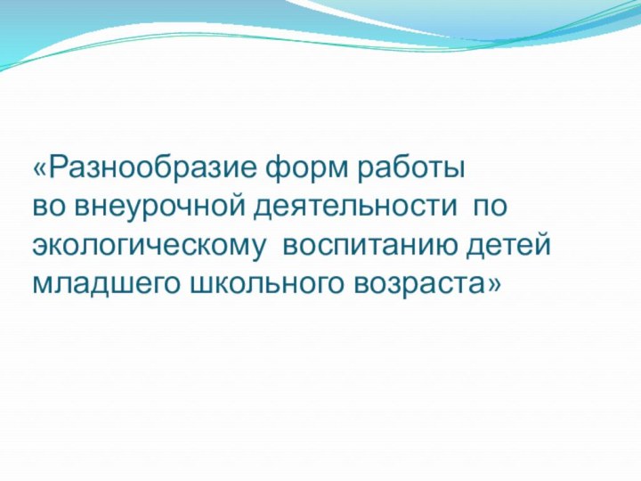 «Разнообразие форм работы  во внеурочной