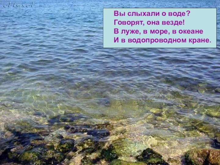 Вы слыхали о воде?Говорят, она везде!В луже, в море, в океанеИ в водопроводном кране.