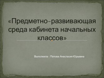 ПК 4.2. Предметно-развивающая среда учебного кабинета начальных классов презентация к уроку по теме