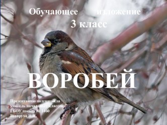 Презентация к обучающему изложению Воробей 3 кл. презентация к уроку по русскому языку по теме