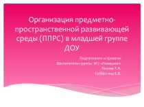 Организация ППРС в младшей группе ДОУ презентация к уроку (младшая группа)