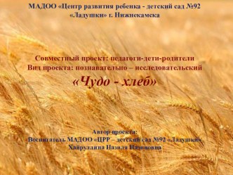 Проект по теме Чудо-хлеб