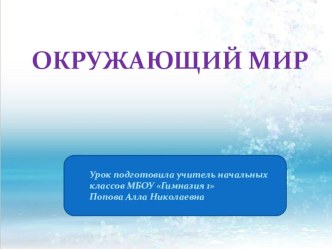 презентация к уроку Живое -неживое презентация к уроку по окружающему миру (1 класс)