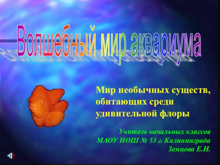 Мир необычных существ, обитающих среди удивительной флорыУчитель начальных классов МАОУ НОШ №