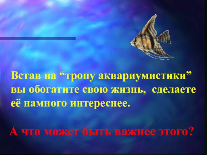 Встав на “тропу аквариумистики” вы обогатите свою жизнь, сделаете её намного интереснее.А