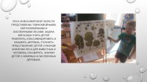 презентация редкие и исчезающие растения Новосибирской области. проект (подготовительная группа)