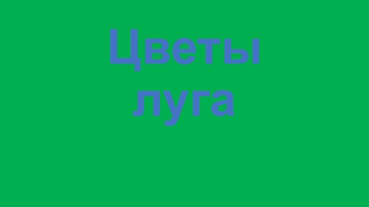 Цветы луга