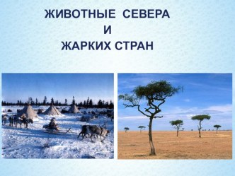 презентация презентация к занятию по логопедии (подготовительная группа) по теме