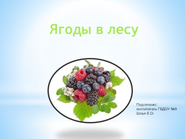 Ягоды в лесуПодготовил: воспитатель ГБДОУ №9Шлык Е.О.