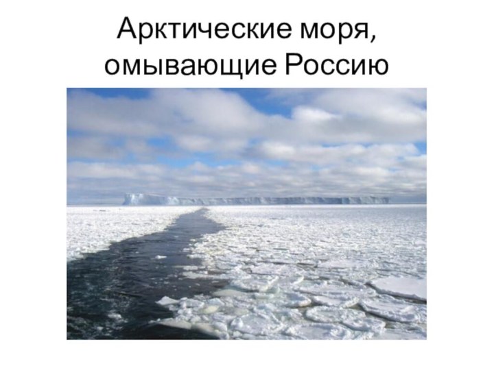 Арктические моря, омывающие Россию