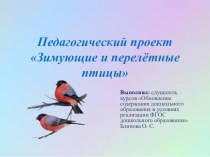 Краткосрочный проект Перелётные и зимующие птицы проект по окружающему миру (старшая, подготовительная группа)