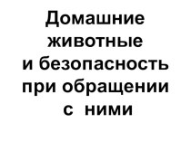 Домашние животные. Безопасное поведение. классный час (2 класс) по теме