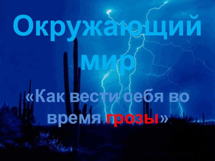 Окружающий мир«Как вести себя во время грозы»