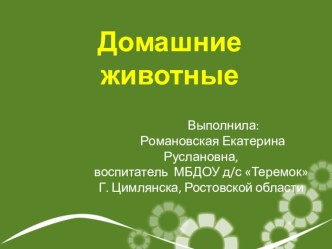 Презентация Домашние животные презентация к уроку по окружающему миру (младшая группа)