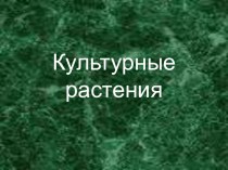 презентация о растениях Красной книги