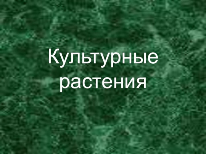 Культурные  растения