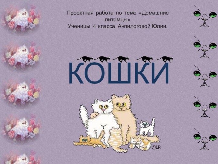 КОШКИПроектная работа по теме «Домашние питомцы» Ученицы 4 класса Анпилоговой Юлии.