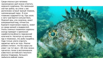 Подводный мир Черного моря презентация к уроку по окружающему миру (подготовительная группа) по теме