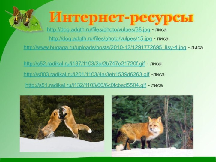 http://s003.radikal.ru/i201/1103/4a/3eb1539d6263.gif -лисаhttp://s51.radikal.ru/i132/1103/66/6c0fcbed5504.gif - лисаhttp://s52.radikal.ru/i137/1103/3a/2b747e21720f.gif - лисаИнтернет-ресурсыhttp://dog.adgth.ru/files/photo/vulpes/15.jpg - лисаhttp://dog.adgth.ru/files/photo/vulpes/38.jpg - лисаhttp://www.bugaga.ru/uploads/posts/2010-12/1291772695_lisy-4.jpg - лиса