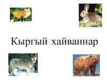 презентация Тема Кыргый хайваннар презентация к уроку по иностранному языку (1 класс) по теме