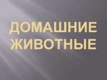 Презентация Домашние животные презентация к уроку по окружающему миру (младшая группа)