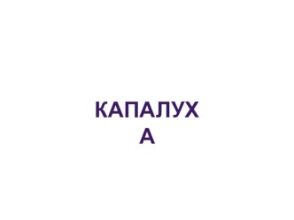 Урок литературного чтения в 3 классе. В.П. Астафьев. Капалуха. план-конспект урока по чтению (3 класс) по теме