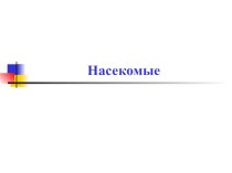 Презентация Насекомые презентация к уроку по окружающему миру (средняя группа)