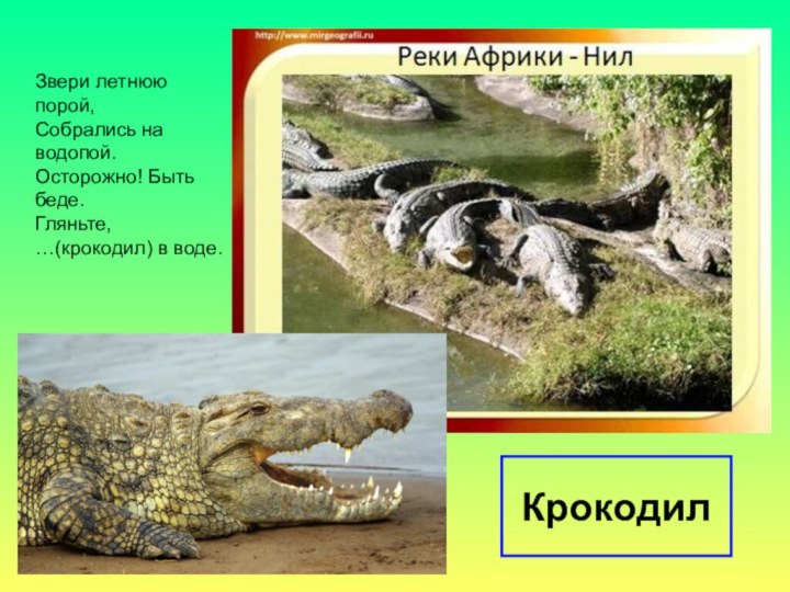 Крокодил	Звери летнюю порой, Собрались на водопой. Осторожно! Быть беде. Гляньте, …(крокодил) в воде.