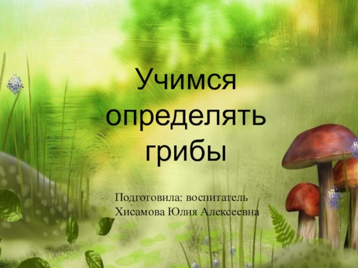 Учимся определять грибыПодготовила: воспитательХисамова Юлия Алексеевна