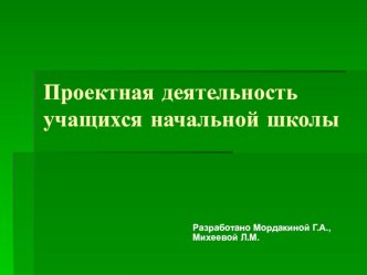 Проектная деятельность. Классификация проектов презентация по теме